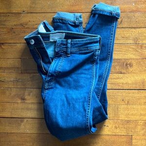 Everlane way high skinny Jean stretchy organic cotton